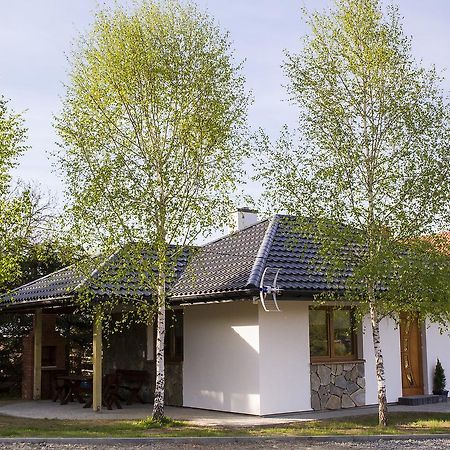 Ferienwohnung "Miedzy Gruszka A Sanem" Lesko Exterior foto